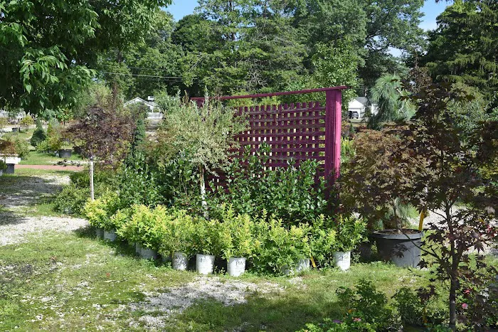 Meyer Landscape & Design and Garden Center Picture 3