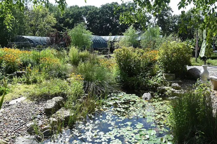 Meyer Landscape & Design and Garden Center Picture 9