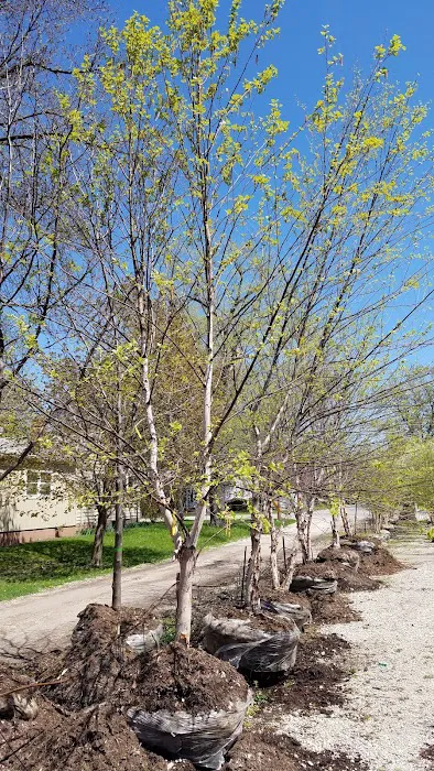 Meyer Landscape & Design and Garden Center Picture 1