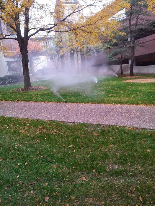 Maple Leaf Lawn Solutions Picture 3