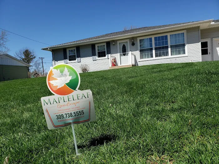 Maple Leaf Lawn Solutions Picture 1