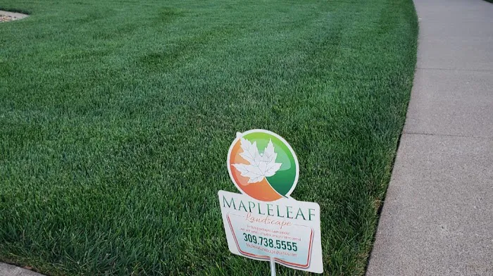 Maple Leaf Lawn Solutions Picture 2