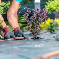 J&A MIDWEST LANDSCAPING, INC. ico