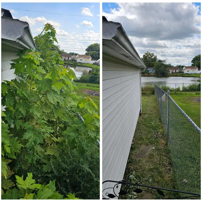 Pro Outdoor Maintenance Picture 6