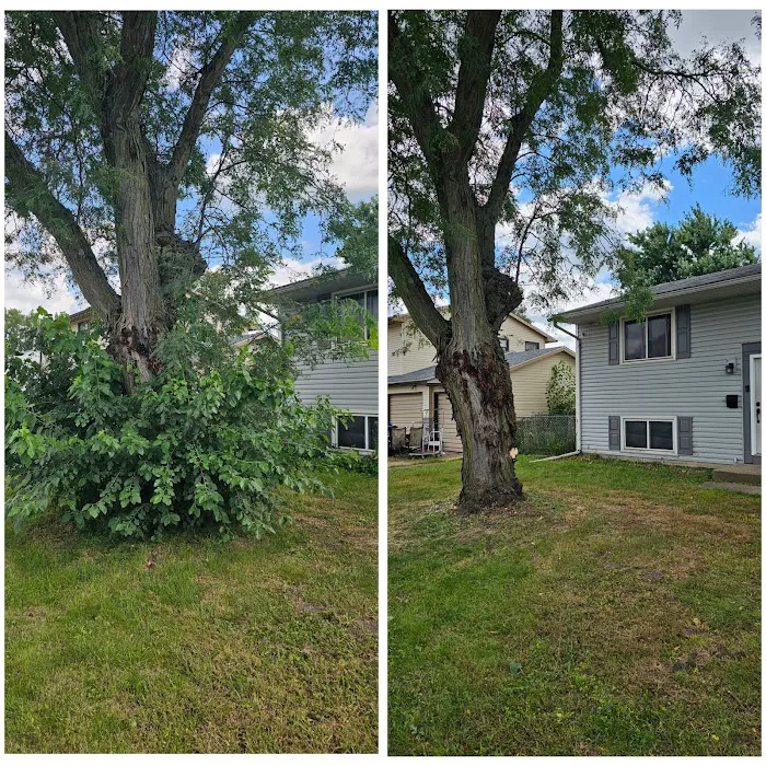 Pro Outdoor Maintenance Picture 9