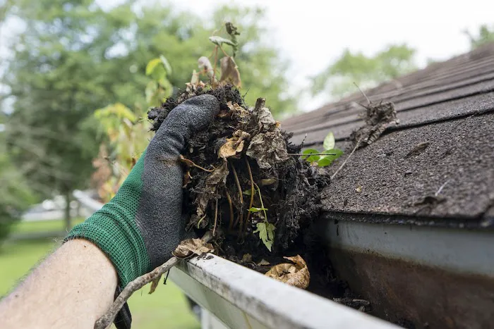 Pro Outdoor Maintenance Picture 2
