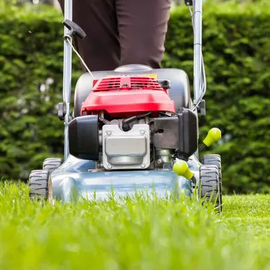 Pro Outdoor Maintenance Picture 7