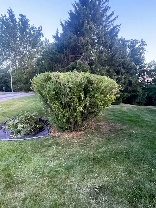 Wade’s Property Services, LLC Picture 1