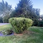 Wade’s Property Services, LLC