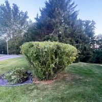 Wade’s Property Services, LLC ico