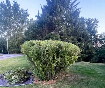 Wadeu2019s Property Services, LLC