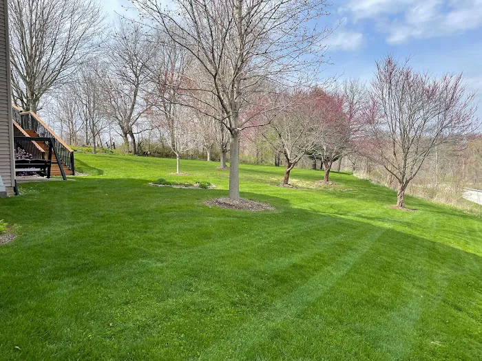 Green Acres Lawn and Snow Picture 8