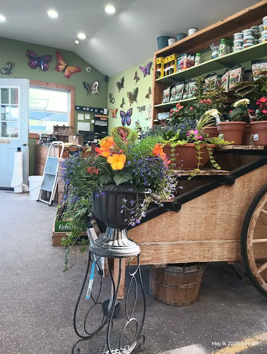 Nature's Touch Inc. Picture 4