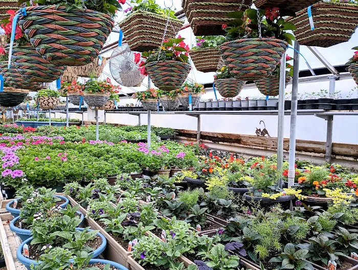 Nature's Touch Inc. Picture 9