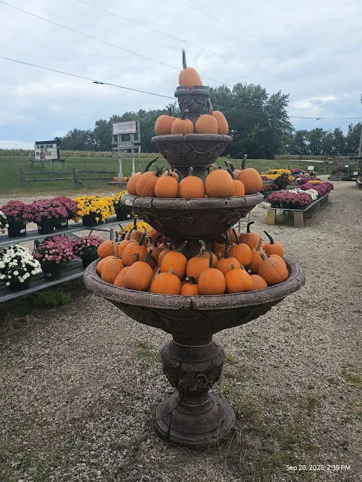 Nature's Touch Inc. Picture 7