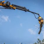 Tree Wise Men LLC