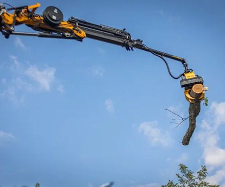 Tree Wise Men LLC