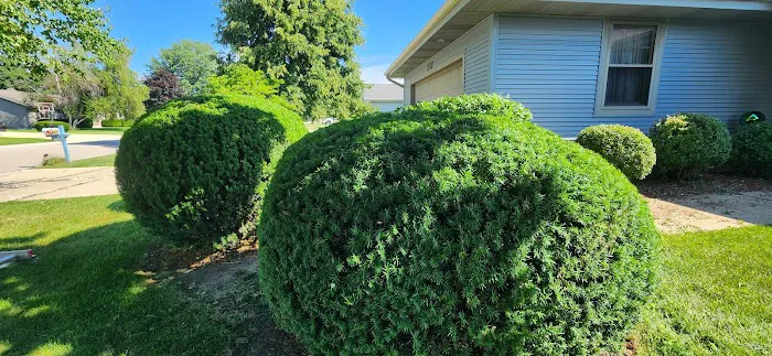 Lea's Lawn Care Picture 8