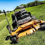 Lea's Lawn Care