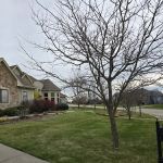 MacPey Property Solutions