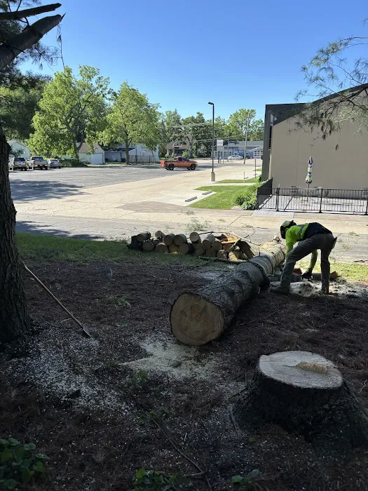 Braun's All-Year Landscaping LLC Picture 3