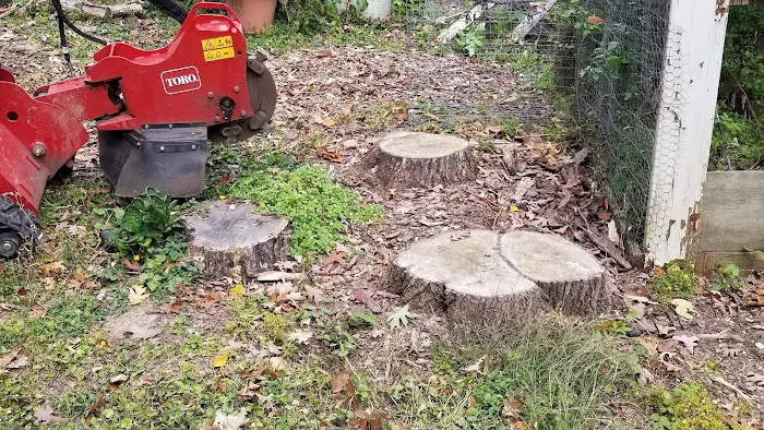 Braun's All-Year Landscaping LLC Picture 6