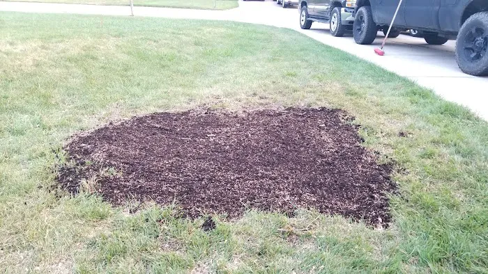 Braun's All-Year Landscaping LLC Picture 4