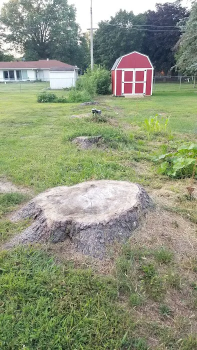 Braun's All-Year Landscaping LLC Picture 1