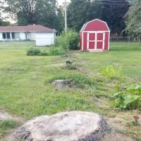 Braun's All-Year Landscaping LLC ico