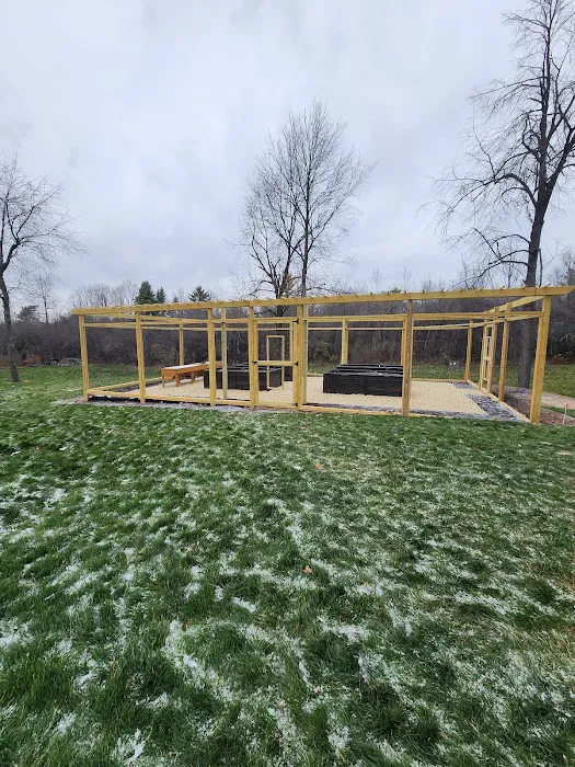 Elena's Landscaping llc Picture 8