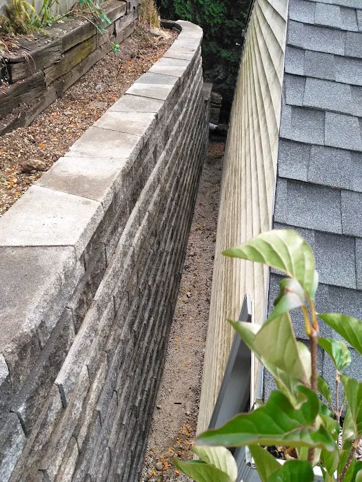 Elena's Landscaping llc Picture 7