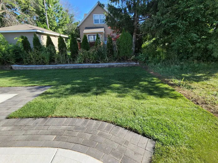Elena's Landscaping llc Picture 9