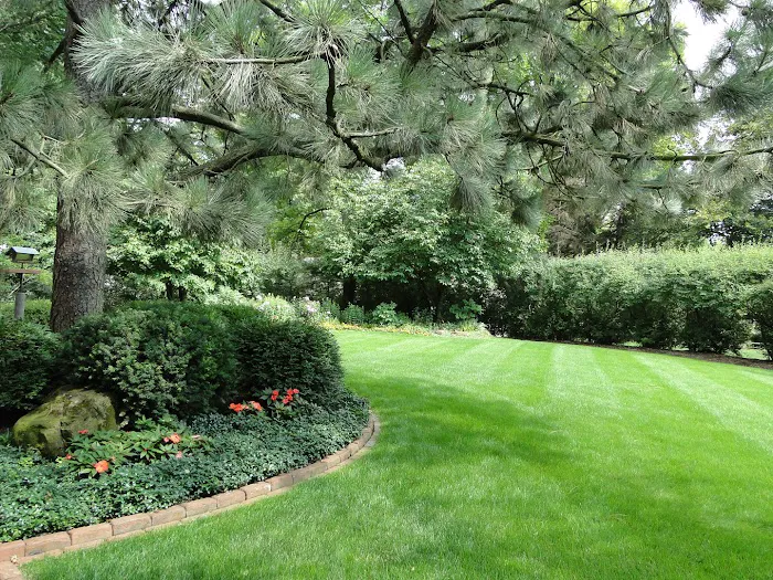 American Landscape Picture 10
