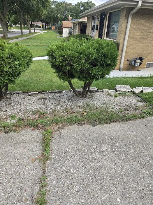 Wells Landscaping Picture 9