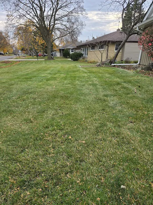 Wells Landscaping Picture 8