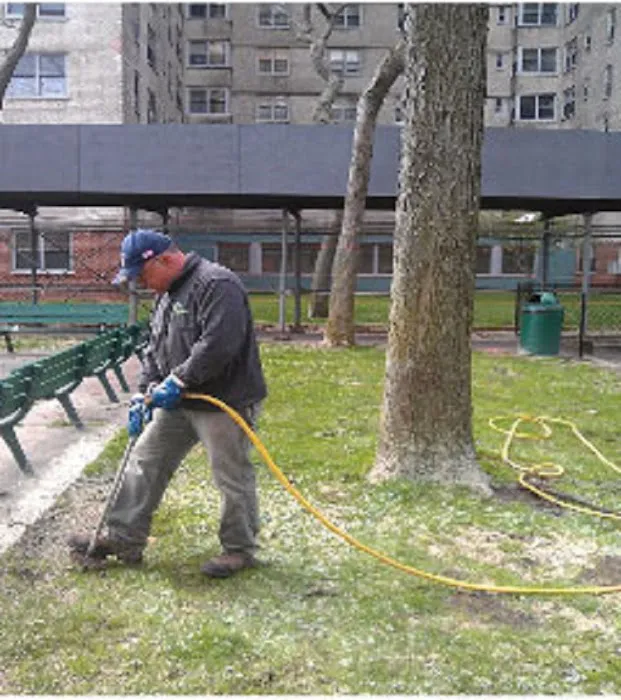 LCS Lawn and Tree Services Picture 10