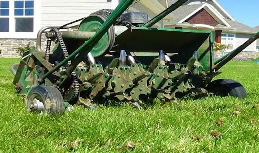 LCS Lawn and Tree Services Picture 8