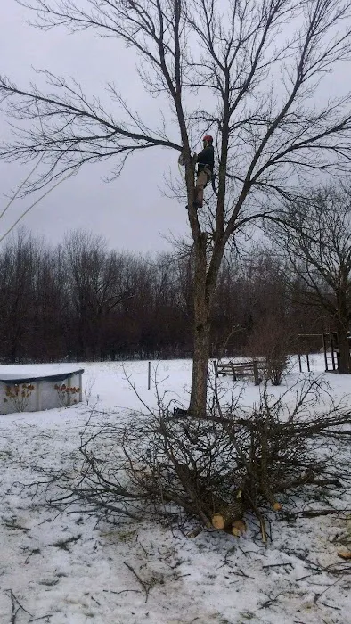 LCS Lawn and Tree Services Picture 9
