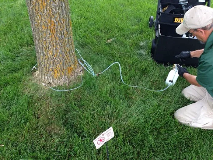 LCS Lawn and Tree Services Picture 6