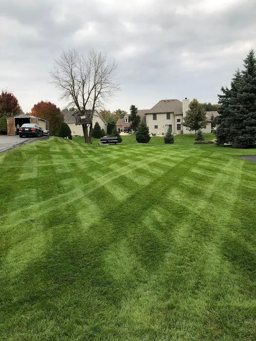 LCS Lawn and Tree Services Picture 3