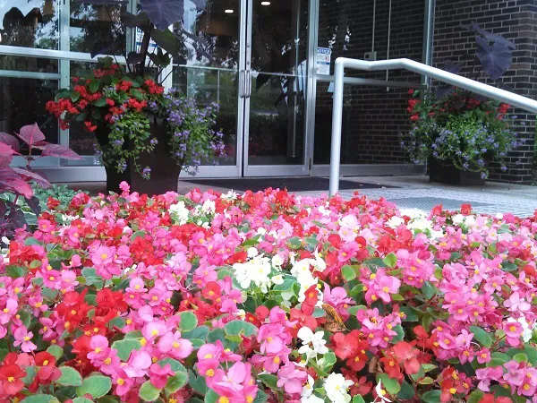 David J. Frank Landscape Contracting Picture 2