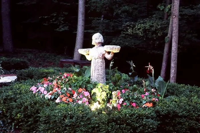 David J. Frank Landscape Contracting Picture 4