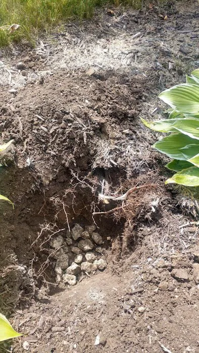 Kelly's Greenscapes LLC Picture 4