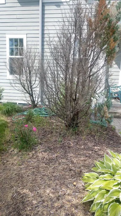 Kelly's Greenscapes LLC Picture 1