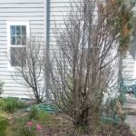 Kelly's Greenscapes LLC