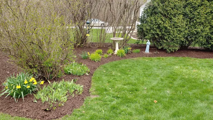 Lawonn Lawn & Landscaping Picture 6