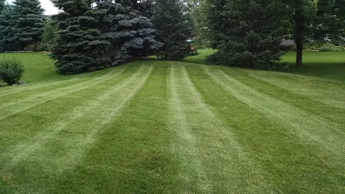Lawonn Lawn & Landscaping Picture 10