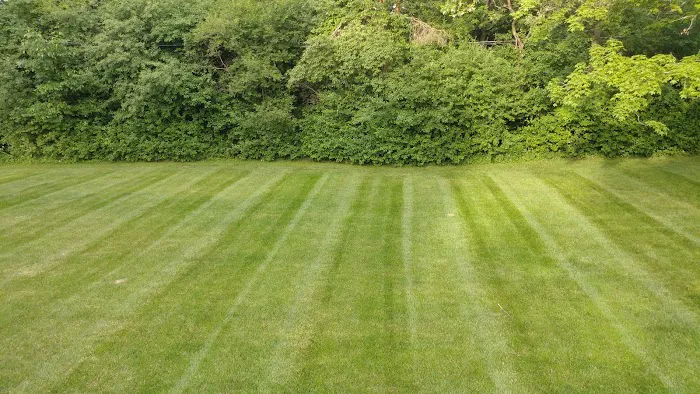 Lawonn Lawn & Landscaping Picture 8