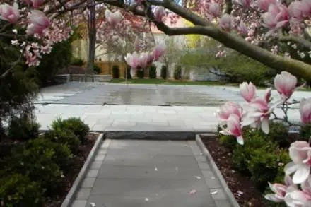 Century Landscaping Co Picture 1