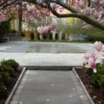 Century Landscaping Co